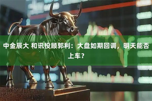 中金辰大 和讯投顾郭利:大盘如期回调,明天能否上车?