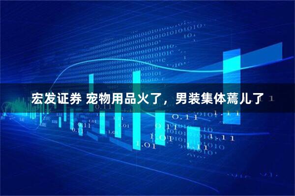 宏发证券 宠物用品火了,男装集体蔫儿了