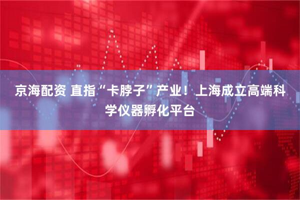 京海配资 直指“卡脖子”产业!上海成立高端科学仪器孵化平台