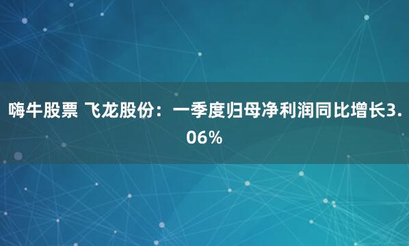 嗨牛股票 飞龙股份：一季度归母净利润同比增长3.06%