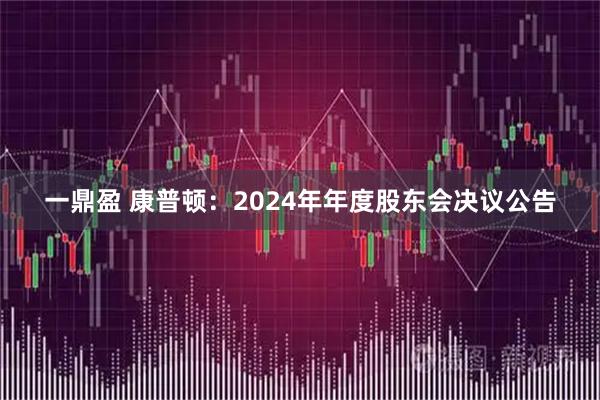 一鼎盈 康普顿：2024年年度股东会决议公告